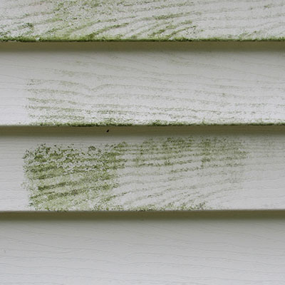 Placeholder Project Title 3